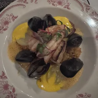 Bouillabaisse Risotto