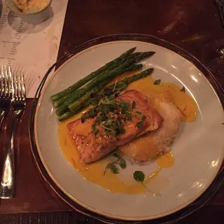 Salmon
