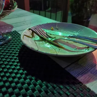 The chance you take while dining al fresco!