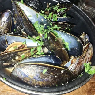 food, oysters and mussels, mussels, shellfish, oysters