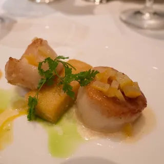 Pan Seared Maine Day Boat Scallops