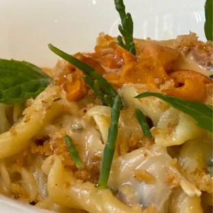 Sea Urchin Pasta