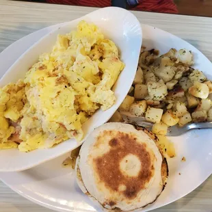 Rock Lobster Scramble