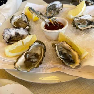Oysters