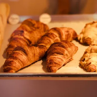 food, sandwich, hot dog, hot dogs