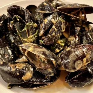 Black Mussels Poulette