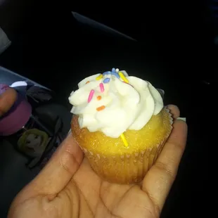 Cupcake with Sprinkles