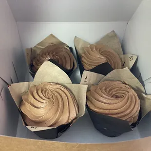 Chocolate cupcakes