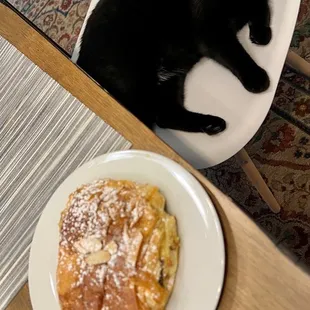 CroissantCat