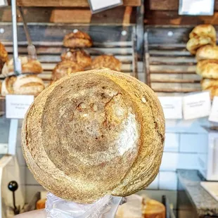 GIANT Whole Wheat Sourdough