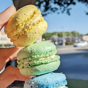 Lemon Poppyseed, Pistachio, Vanilla Macaroons