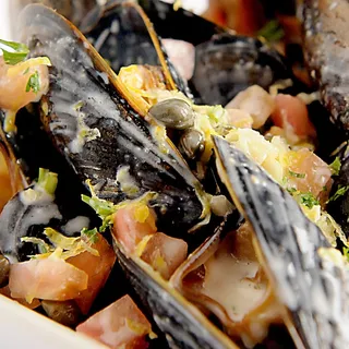 Mussels
