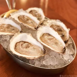 1/2 dozen oysters