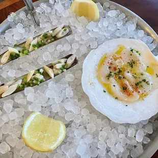 Razor Clam