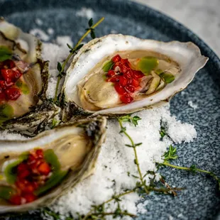 Oyster Night every Thursday with assortment mignonettes