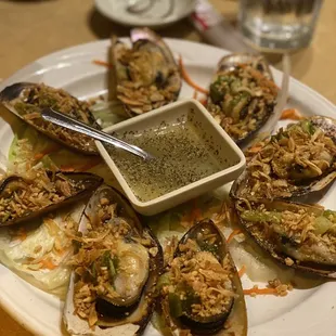 a plate of oysters