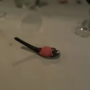 Palate cleanser with raspberry and cardamom sorbet - because every meal needs a dramatic plot twist