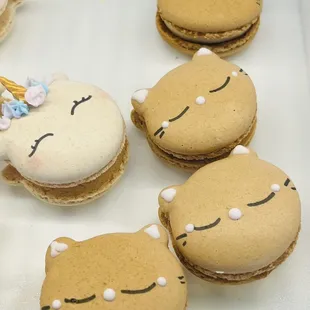 Cat &amp; unicorn macarons