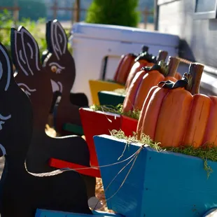 Always well decorated for all the seasons/holidays!