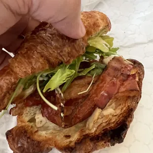 a hand holding a sandwich