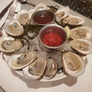 East Coast Oysters