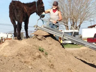 A T Ranch & Equestrian Center