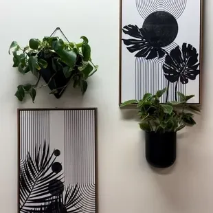 a black and white picture of a plant and a picture of a bird