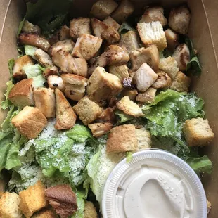 Caesar Salad