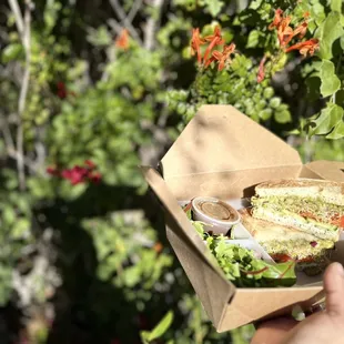 Veggie sandwich, cream cheese spread, cucumber, avo, sprouts and tomatoe w a salad!
