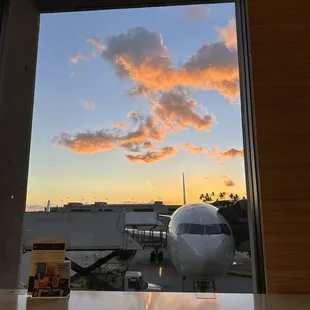 The view out one of the windows