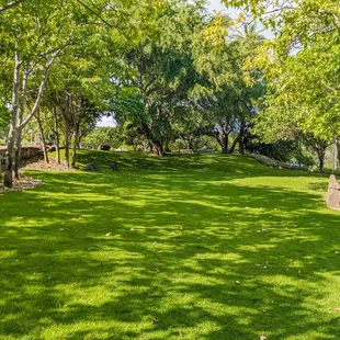 #NoCaptionNeeded! What more can you ask for?