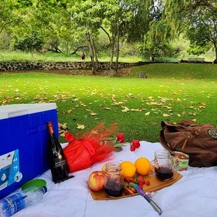 Having a picnic day with my Queen