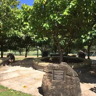 Come and sit under the shade of the trees to reflect on the sayings for Peace