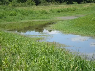 Perry State Park