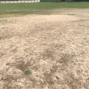 Yo Leawood lay down some grass, I know you've got the budget for it