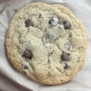 Chocolate chip cookie