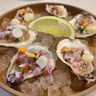 Oysters