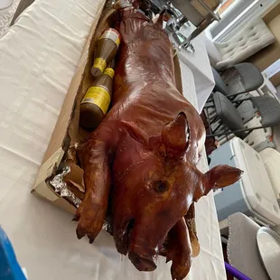 a pig in a box on a table