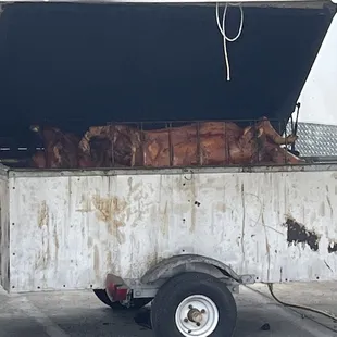 Smoked pig