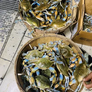 two baskets of blue crabs