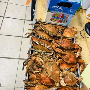a tray full of steamed crabs