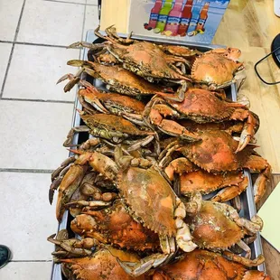 a tray full of steamed crabs