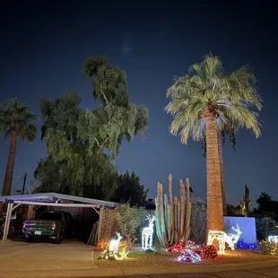 Scaled back display due to back issues.