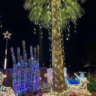 Lit Palm Tree, Reindeer and More