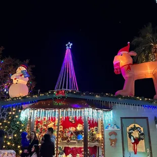 Rooftop Snowman, Tree and Dog