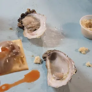 oysters on the half shell