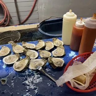 Oysters (Raw &amp; Steam)