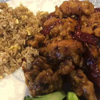 LS2. General Tso's Chicken
