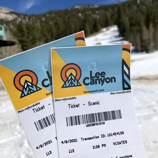 Scenic lift tickets because it's just fun!