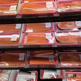 Salmon
